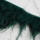 Тесьма с перьями петуха, 10-15 см, 5 ± 0,5 м, цвет изумрудный - фото 8698548