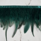 Тесьма с перьями петуха, 10-15 см, 5 ± 0,5 м, цвет изумрудный - фото 8698549