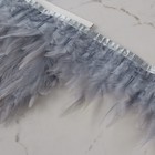 Тесьма с перьями петуха, 10-15 см, 5 ± 0,5 м, цвет серый - фото 6906913