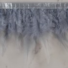 Тесьма с перьями петуха, 10-15 см, 5 ± 0,5 м, цвет серый - фото 6906914