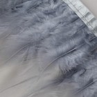 Тесьма с перьями петуха, 10-15 см, 5 ± 0,5 м, цвет серый - Фото 4