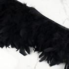 Тесьма с перьями индюка, 13-17 см, 5±0.5 м, чёрная - Фото 2