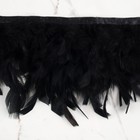 Тесьма с перьями индюка, 13-17 см, 5±0.5 м, чёрная - Фото 3