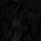 Тесьма с перьями индюка, 13-17 см, 5±0.5 м, чёрная - Фото 4