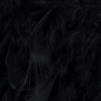 Тесьма с перьями индюка, 13-17 см, 5±0.5 м, чёрная
