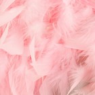Тесьма с перьями индюка, 13-17 см, 5 ± 0,5 м, цвет розовый - Фото 4