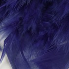 Тесьма с перьями индюка, 13-17 см, 5 ± 0,5 м, цвет тёмно-синий - фото 6906940