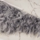 Тесьма с перьями индюка, 13-17 см, 5 ± 0,5 м, цвет серый - Фото 2