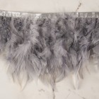 Тесьма с перьями индюка, 13-17 см, 5 ± 0,5 м, цвет серый - фото 6906944