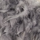 Тесьма с перьями индюка, 13-17 см, 5 ± 0,5 м, цвет серый - фото 6906945