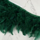Тесьма с перьями индюка, 13-17 см, 5±0.5 м, зелёная - Фото 2