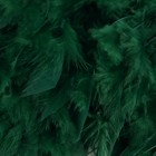 Тесьма с перьями индюка, 13-17 см, 5 ± 0,5 м, цвет изумрудный - фото 7536512