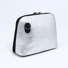 Сумка женская на молнии, цвет серебряный  (артикул 9446501)  большой выбор товаров оптом и в розницу по низким ценам с доставкой