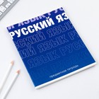 Тетрадь предметная 48 листов, А5, ГРАДИЕНТ, со справочными материалами «1 сентября: Русский язык», обложка мелованный картон 230 гр внутренний блок в линейку  белизна 96%,блок №1. 9463166 - фото 1867322