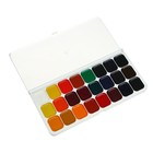 Акварель «Луч. De Luxe», 24 цвета, без кисти - Фото 5