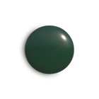 Аэрозольная краска эмаль  Зеленый мох 520мл CORALINO RAL6005 - Фото 4