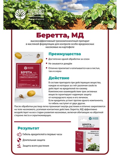 Инсектицид «Беретта, МД» для борьбы с вредителями на посадках картофеля, ампула 10 мл