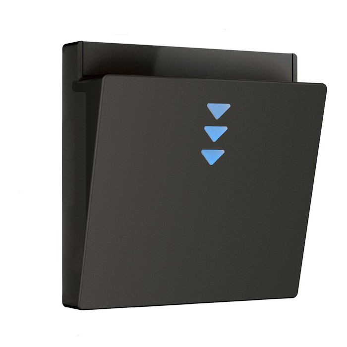 Накладка для электронного карточного выключателя W1163108, чёрный - Фото 1