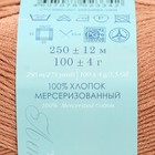 Пряжа "Весенняя" 100% мерсеризованный хлопок 250м/100гр (703-Корица) - Фото 4