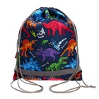 Мешок для обуви 440 х 365 мм, Erich Krause, плотность 300D, со светоотражающей полосой, Dino Planet - Фото 1