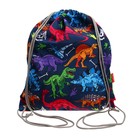 Мешок для обуви 440 х 365 мм, Erich Krause, плотность 300D, со светоотражающей полосой, Dino Planet - Фото 2