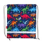 Мешок для обуви 440 х 365 мм, Erich Krause, плотность 300D, со светоотражающей полосой, Dino Planet - Фото 3