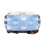 Рюкзак школьный Erich Krause ErgoLine 15L, 39 х 28 х 14 см, эргономичная спинка, Cupids 56784 - фото 24567396