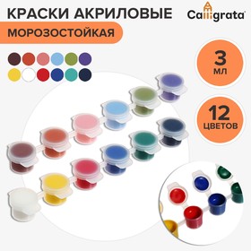 Краска акриловая, набор 12 цветов х 3 мл, Calligrata, морозостойкие, в пакете