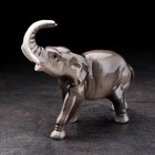 Сувенир "Слон", ручная работа, фарфор - Фото 2