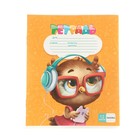 Набор первоклассника «Кот», 32 предмета, в папке  (артикул 9589295)  большой выбор товаров оптом и в розницу по низким ценам с доставкой