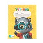 Набор первоклассника «Кот», 32 предмета, в папке  (артикул 9589295)  большой выбор товаров оптом и в розницу по низким ценам с доставкой