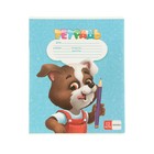 Набор первоклассника «Кот», 32 предмета, в папке  (артикул 9589295)  большой выбор товаров оптом и в розницу по низким ценам с доставкой