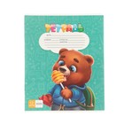 Набор первоклассника «Кот», 32 предмета, в папке  (артикул 9589295)  большой выбор товаров оптом и в розницу по низким ценам с доставкой