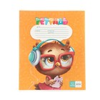 Набор первоклассника «Кот», 32 предмета, в папке  (артикул 9589295)  большой выбор товаров оптом и в розницу по низким ценам с доставкой