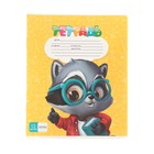 Набор первоклассника «Кот», 32 предмета, в папке  (артикул 9589295)  большой выбор товаров оптом и в розницу по низким ценам с доставкой