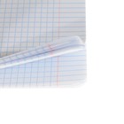 Набор первоклассника «Кот», 32 предмета, в папке  (артикул 9589295)  большой выбор товаров оптом и в розницу по низким ценам с доставкой