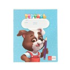 Набор первоклассника «Кот», 32 предмета, в папке  (артикул 9589295)  большой выбор товаров оптом и в розницу по низким ценам с доставкой