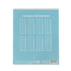 Набор первоклассника «Кот», 32 предмета, в папке  (артикул 9589295)  большой выбор товаров оптом и в розницу по низким ценам с доставкой