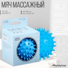 Мяч массажный ONLYTOP Blue, d=7,5 см 9444768 - фото 3162899