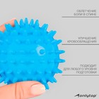 Мяч массажный ONLYTOP Blue, d=7.5 см - Фото 4