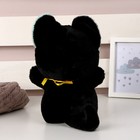 Мягкая игрушка «Кот», 23 см, цвет чёрный - Фото 3