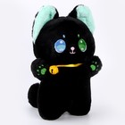 Мягкая игрушка «Кот», 23 см, цвет чёрный - Фото 4