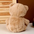 Мягкая игрушка «Медведь», с бантиком в горох, 26 см, цвет бежевый - фото 4637142