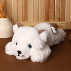 Мягкая игрушка «Собака», 33 см, цвет белый - фото 319456747