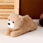 Мягкая игрушка «Медведь», 25 см, цвета МИКС - фото 319456756