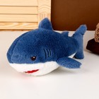 Мягкая игрушка «Акула», 25 см, цвет синий - фото 320553363