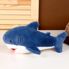 Мягкая игрушка «Акула», 25 см, цвет синий - Фото 2