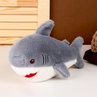 Мягкая игрушка «Акула», 25 см, цвет серый - фото 319747299