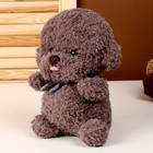 Мягкая игрушка «Собака», 25 см, цвет серый - фото 4637145