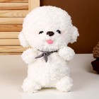 Мягкая игрушка «Собака», 25 см, цвет белый - фото 319456769